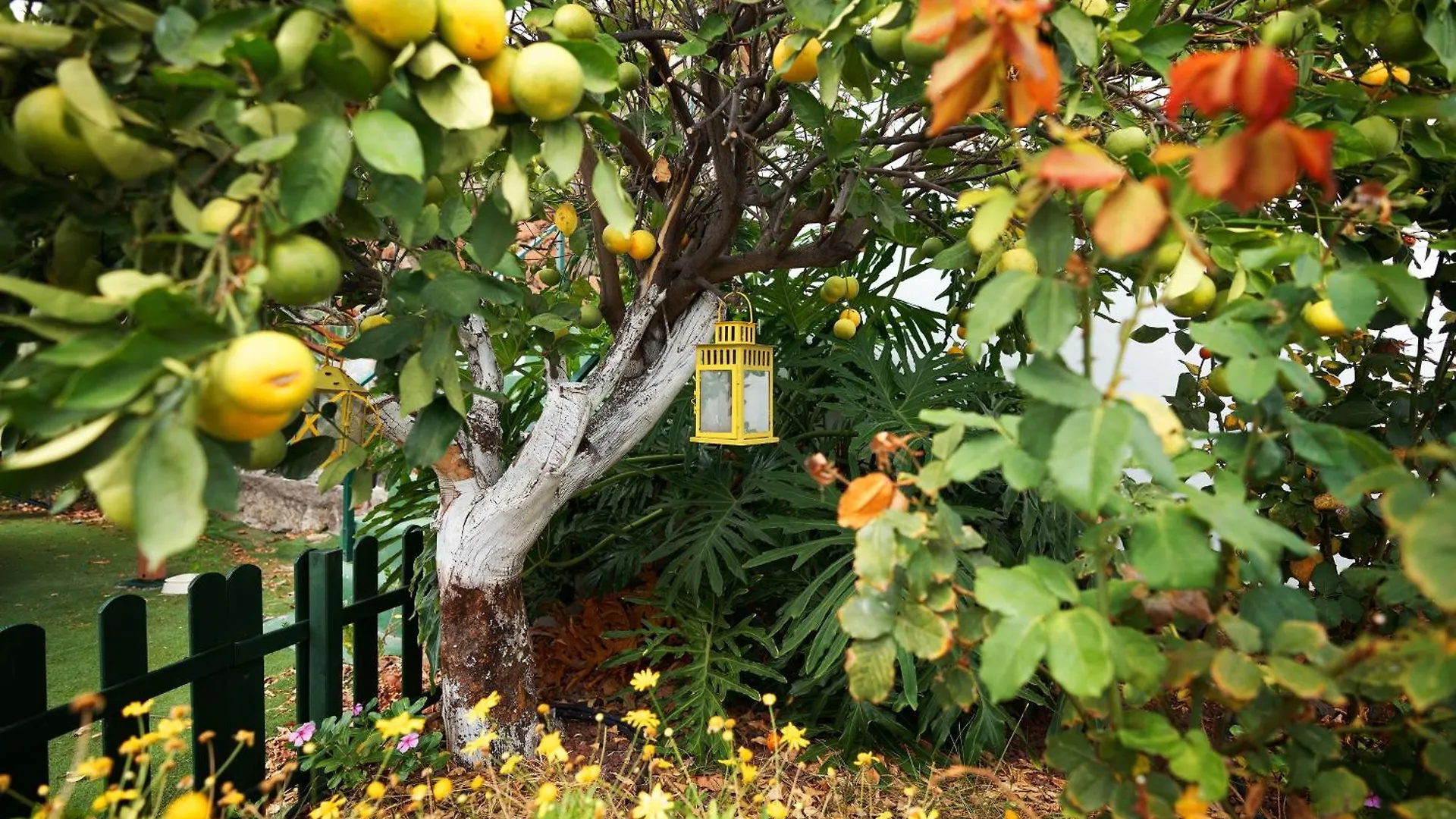 Apartment Finca Ecologica Quinta Los Tizones, Casa Mango Santa Cruz de Tenerife
