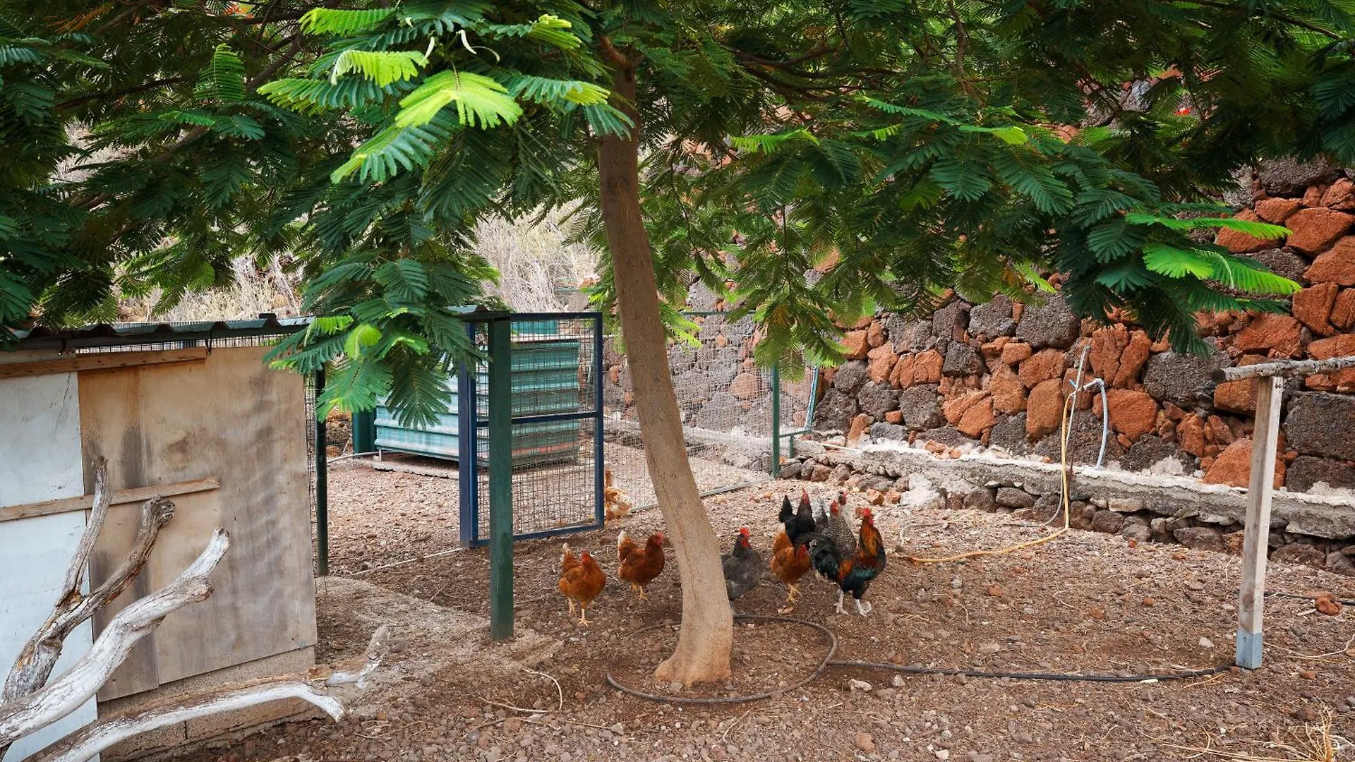Finca Ecologica Quinta Los Tizones, Casa Mango Santa Cruz de Tenerife