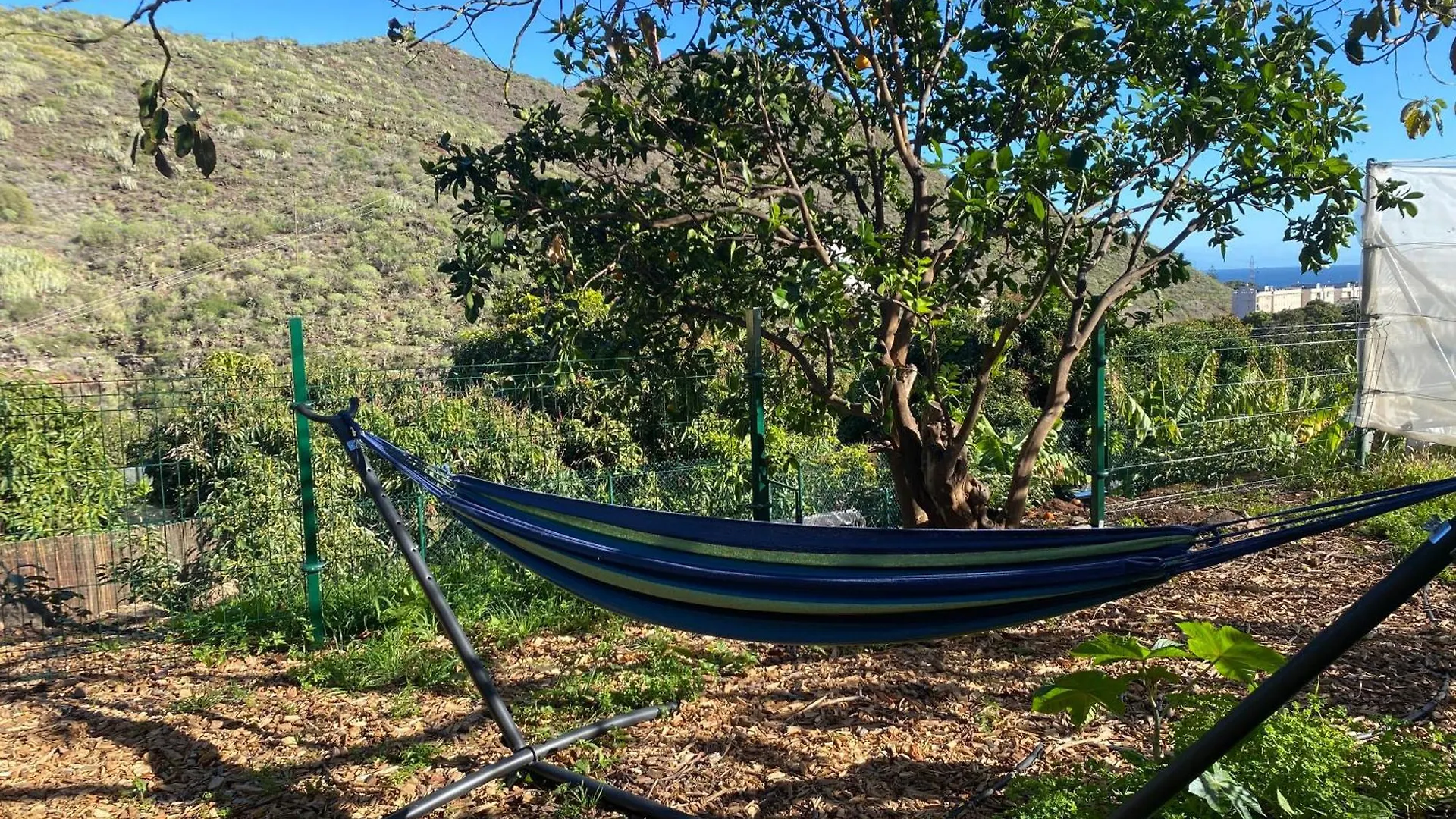 Finca Ecologica Quinta Los Tizones, Casa Mango Santa Cruz de Tenerife 0*,  Spain
